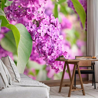 Wall Murals with lilac - lilac time - 60668g -art