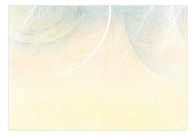 Fototapetes Dabas aizkars - putnu spalvas boho stilā, 143787 G-ART