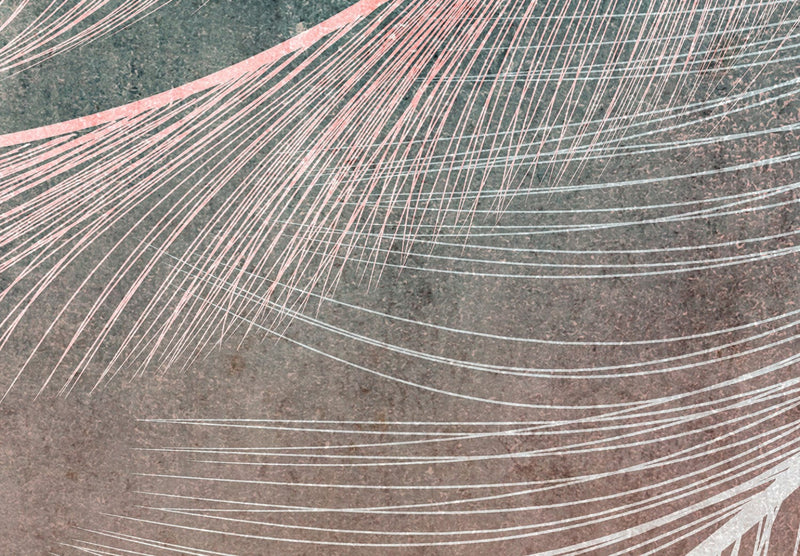 Fototapetes Dabas aizkars - putnu spalvas boho stilā uz tumša fona, 143788 G-ART