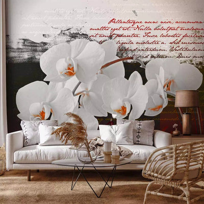 Wall Murals