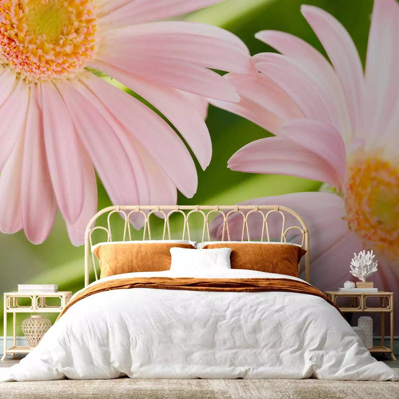 Wall Murals Leisure corner - two pink gerberas, 60679 g -art