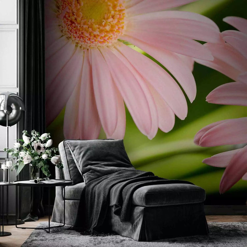 Wall Murals Leisure corner - two pink gerberas, 60679 g -art