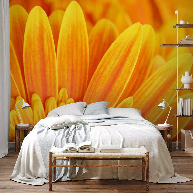 Wall Murals - Design in the interior: flowering yellow gerber, 60681 G-art