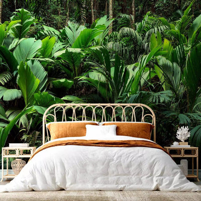 Wall Murals - Exotic jungle - wild forest landscape with fern g -art