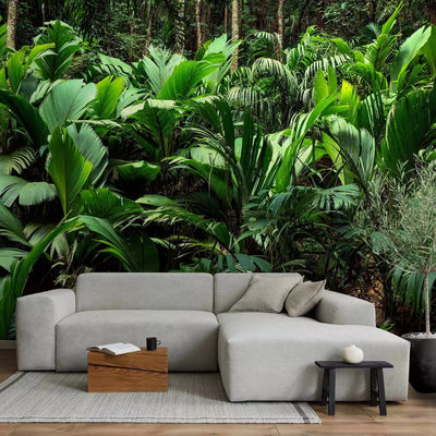 Wall Murals - Exotic jungle - wild forest landscape with fern g -art