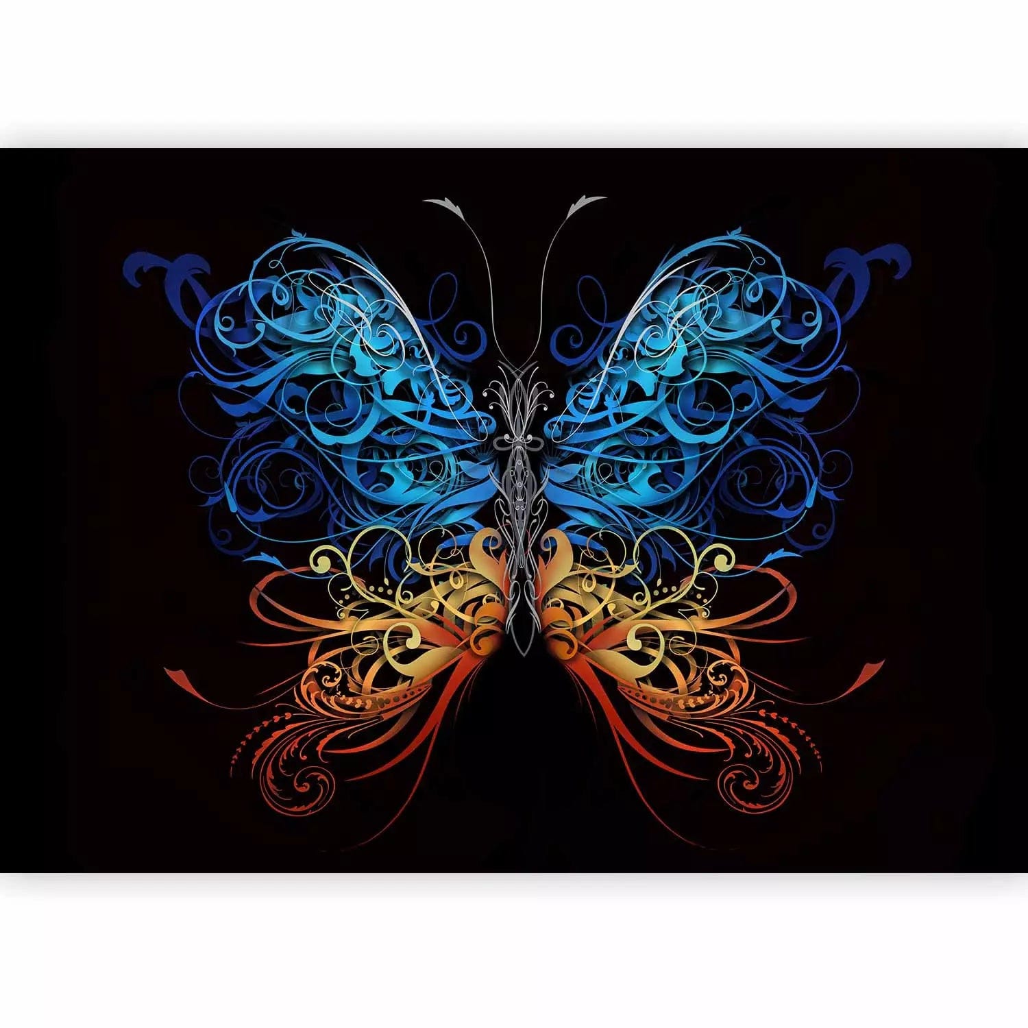 Fototapetes - krāsains tauriņš ar ornamentētiem spārniem uz melna fona G-ART
