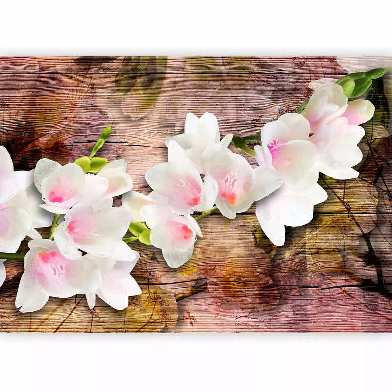 Wall Murals - Design: white freesia on brown wood texture, 62272g-art