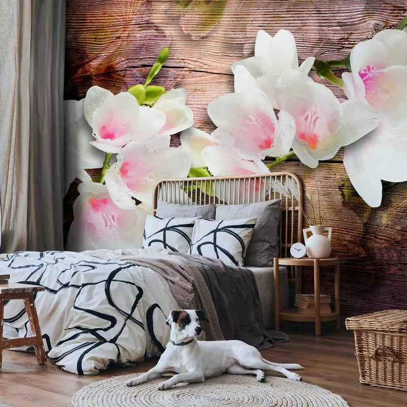 Wall Murals - Design: white freesia on brown wood texture, 62272g-art