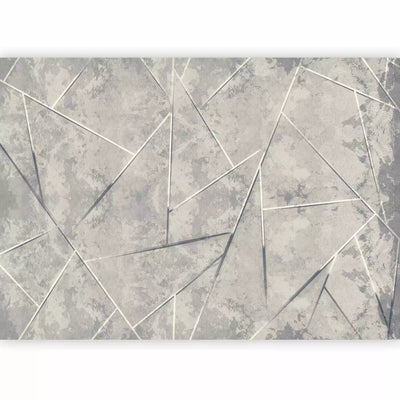 Fototapetes Ģeometrija pelēkā - kompozīcija ar abstraktu motīvu G-ART