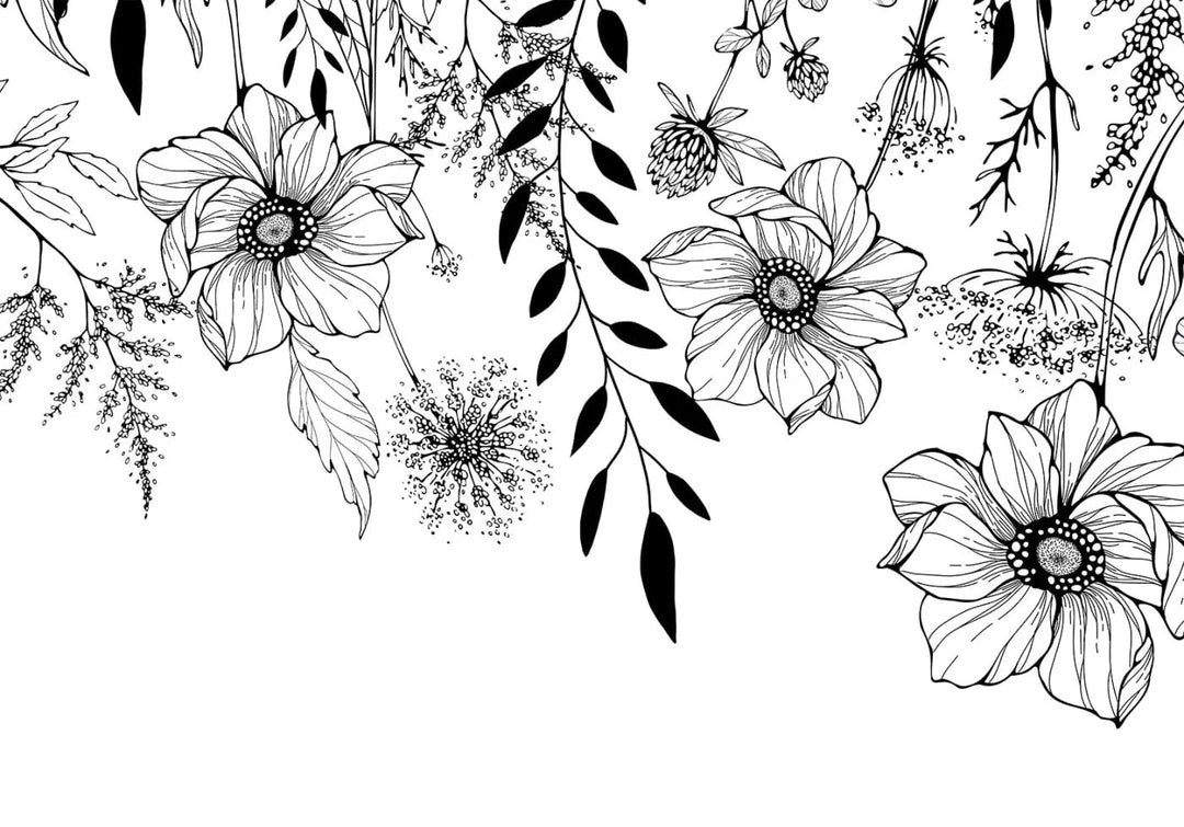 Fototapetes - Grafiskā pļava - melnbalts ziedu motīvs lineart stilā G-ART