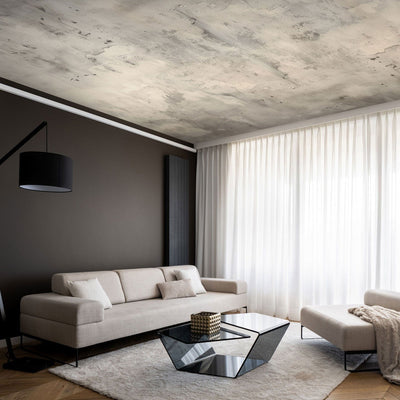 Wall Murals for ceilings - Concrete ceiling in shades of gray, 159924 G-ART
