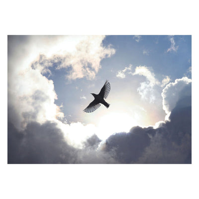 Fototapetes griestiem - Lidojošs putns uz zila debess fona, 159919 G-ART
