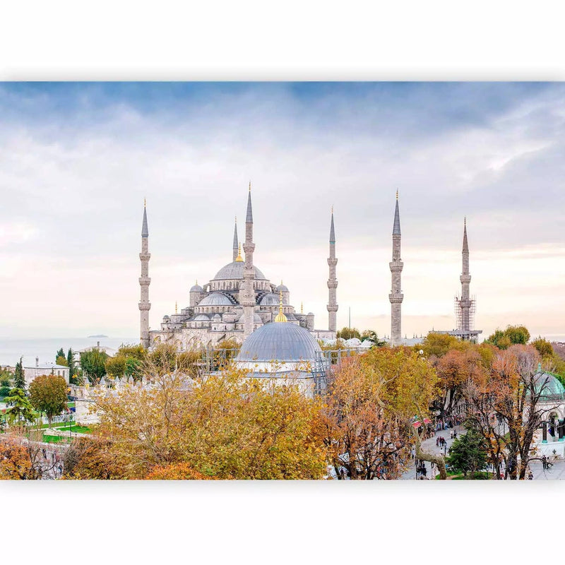 Wall Murals With Istanbul&