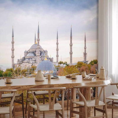 Wall Murals With Istanbul's views and Hagia Sophia, 96684 G-Art