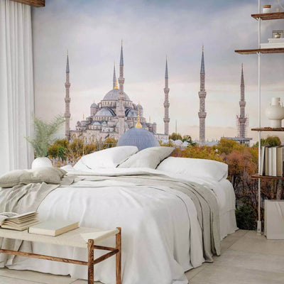 Wall Murals With Istanbul's views and Hagia Sophia, 96684 G-Art