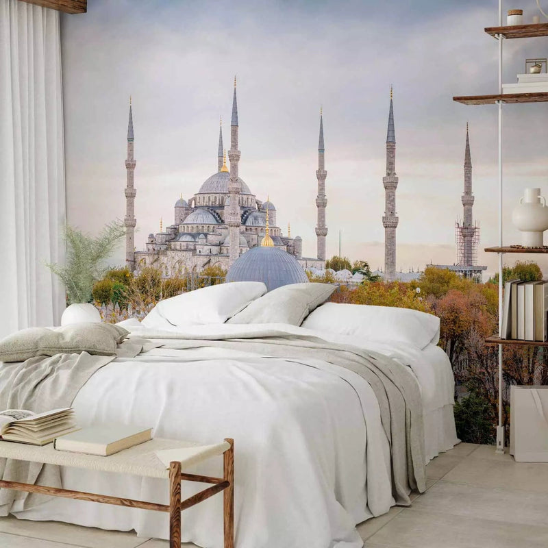 Wall Murals With Istanbul&