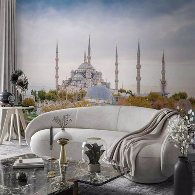 Wall Murals With Istanbul's views and Hagia Sophia, 96684 G-Art