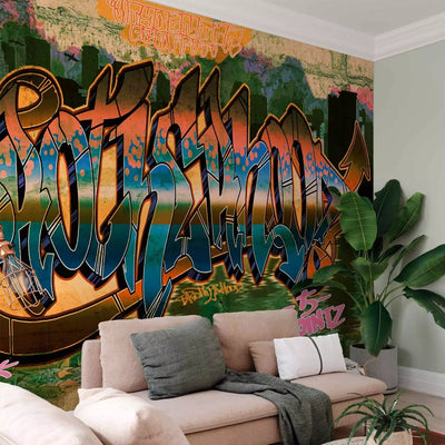 Wall Murals with graffiti youth - street art, 64253g -art