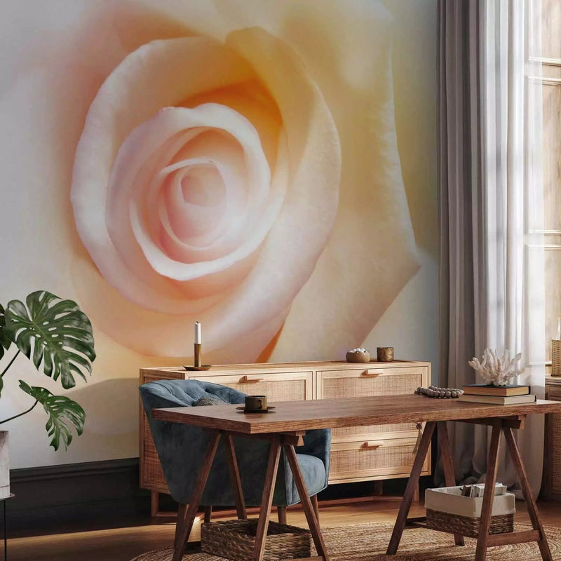 Wall Murals with rose - sophisticated beauty, 91928 - order G -art