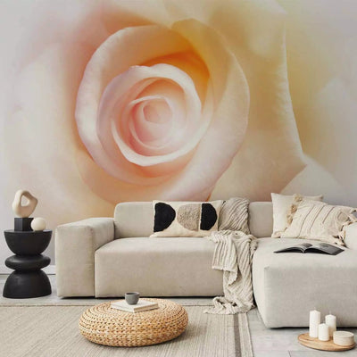 Wall Murals with rose - sophisticated beauty, 91928 - order G -art