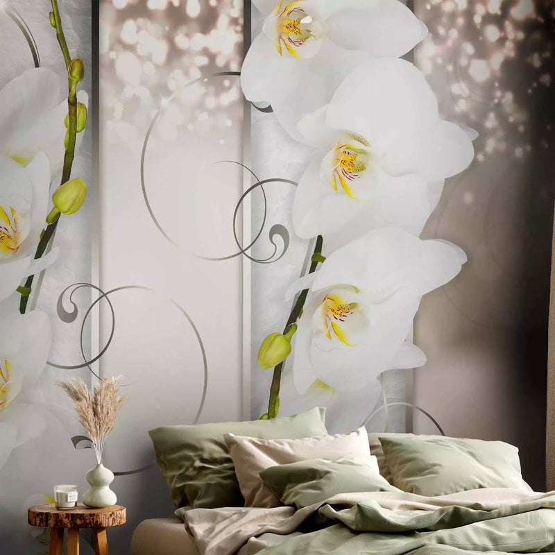 Wall Murals - Elegant flowers - abstraction with white orchids, 60183 g -art