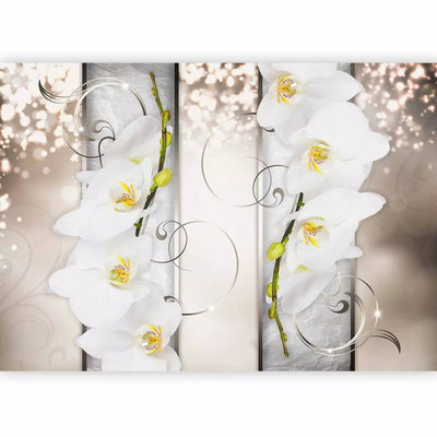 Wall Murals - Elegant flowers - abstraction with white orchids, 60183 g -art