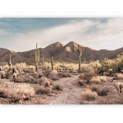 Wall Murals - Mountainous desert, 160098 - large outing from the catalogue G-ART