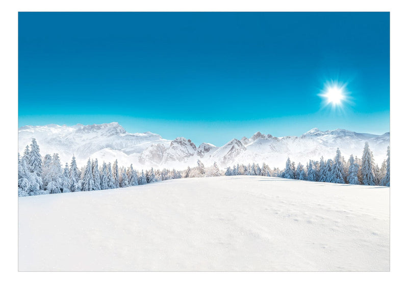 Fototapetes - Kalnu virsotnes un meži, pārklāti ar sniegu, 151866 G-ART