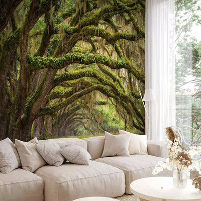 Wall Murals with nature - tree embrace, 60395g -art