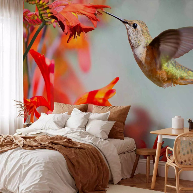 Wall Murals - A hummingbird eats nectar from a red flower. 61328 G-ART