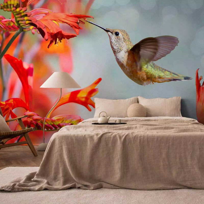 Wall Murals - A hummingbird eats nectar from a red flower. 61328 G-ART