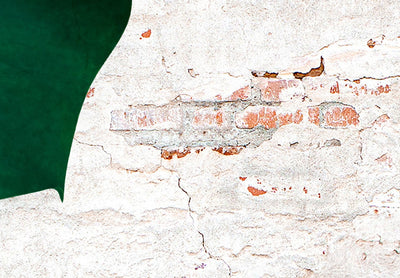 Fototapetes - Kompozīcija ar monsteru uz ķieģeļu sienas fona, 138816 G-ART