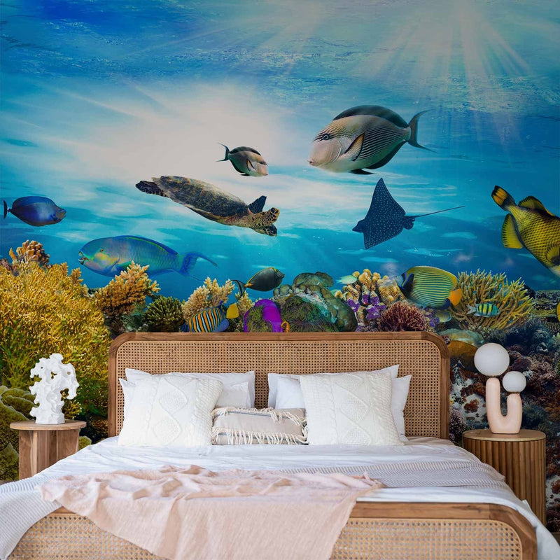Wall Murals - Coral reef, 61728 G-ART