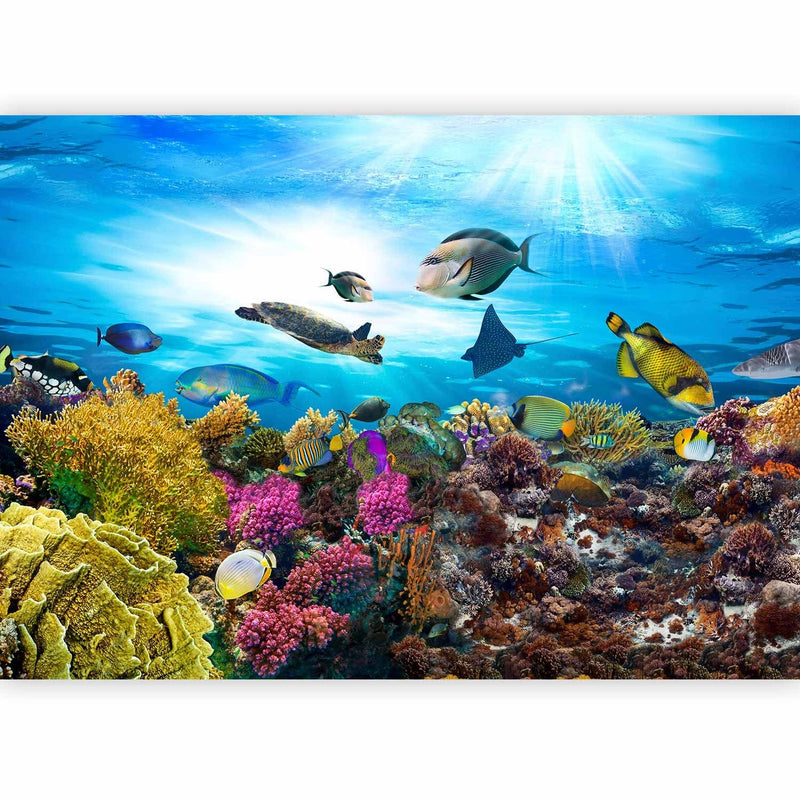 Wall Murals - Coral reef, 61728 G-ART