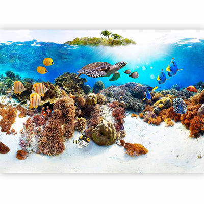 Fototapetes - Koraļļu rifs un zemūdens pasaule, 59998 G-ART