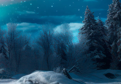 Fototapetes - Krāsainā ziemeļblāzma nakts debesīs virs meža, 151865 G-ART