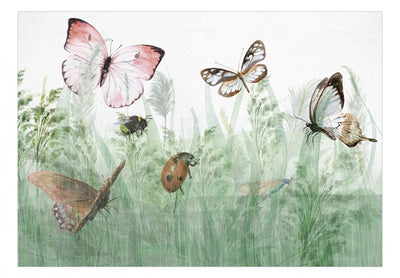 Fototapetes - Kukaiņi pļavā: mārīte un tauriņis, dabas krāsas, 143847 G-ART