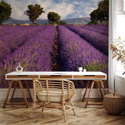 Wall Murals - Natural landscape - rural purple lavender field G-ART