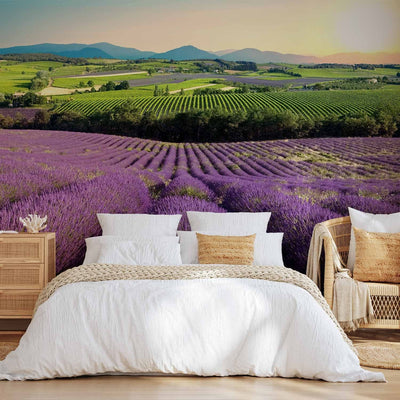 Fototapetes viesistabai vai guļamistabai violetā - Lavandu lauki G-ART
