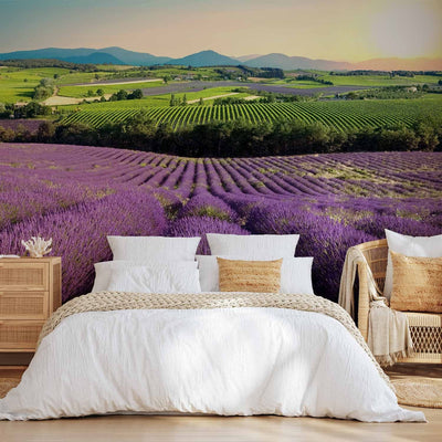 Wall Murals For a living room or bedroom purple - Lavender fields G -art