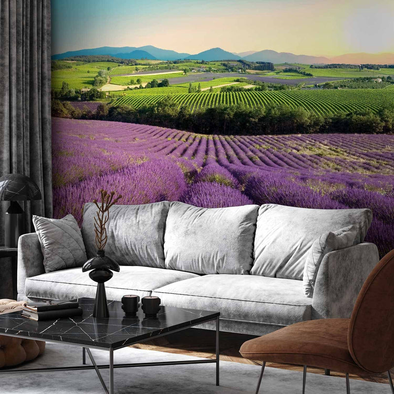 Wall Murals For a living room or bedroom purple - Lavender fields G -art