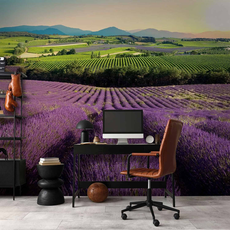 Wall Murals For a living room or bedroom purple - Lavender fields G -art