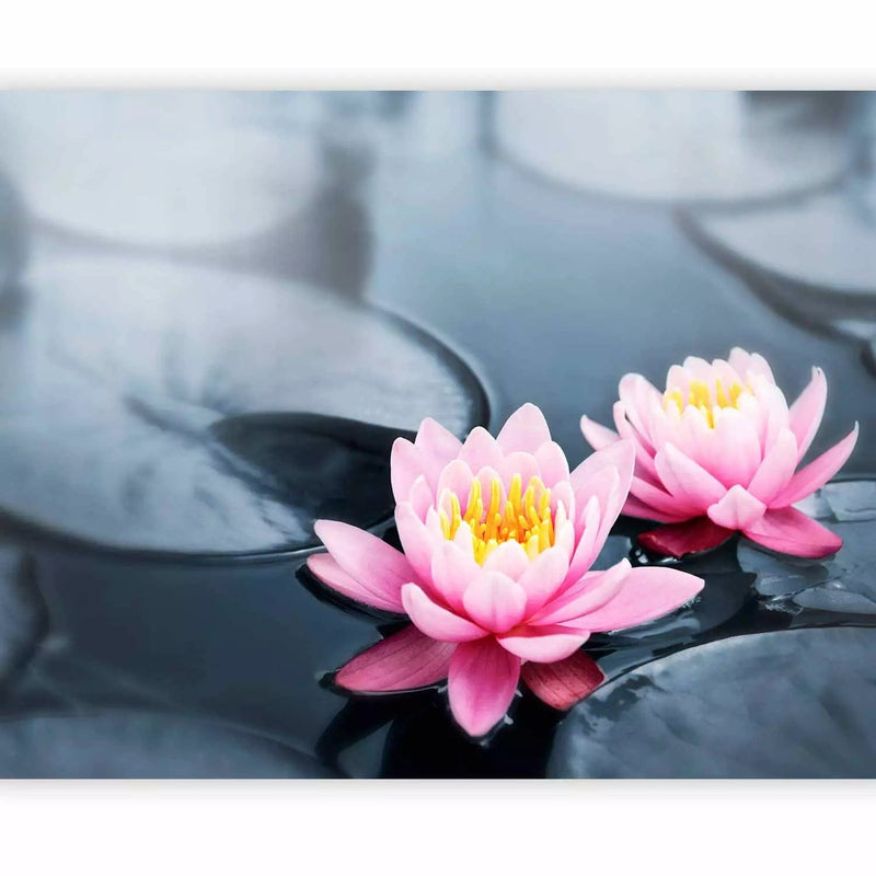 Wall Murals With lotus flowers on a gray background - lotus flowers, 60680g -art