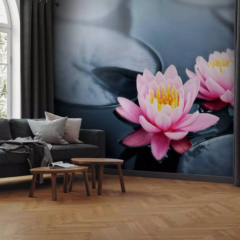 Valokuvatapetti Lotuskukissa harmaalla taustalla - Lotus Flowers, 60680G -Art