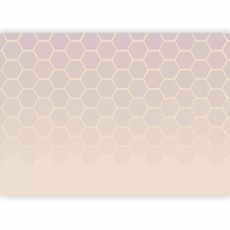 Wall Murals - pastel glass motif with hexagonal shapes, 161069 G-ART