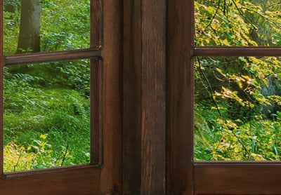 Fototapetes - Mežs aiz loga, 128841 G-ART