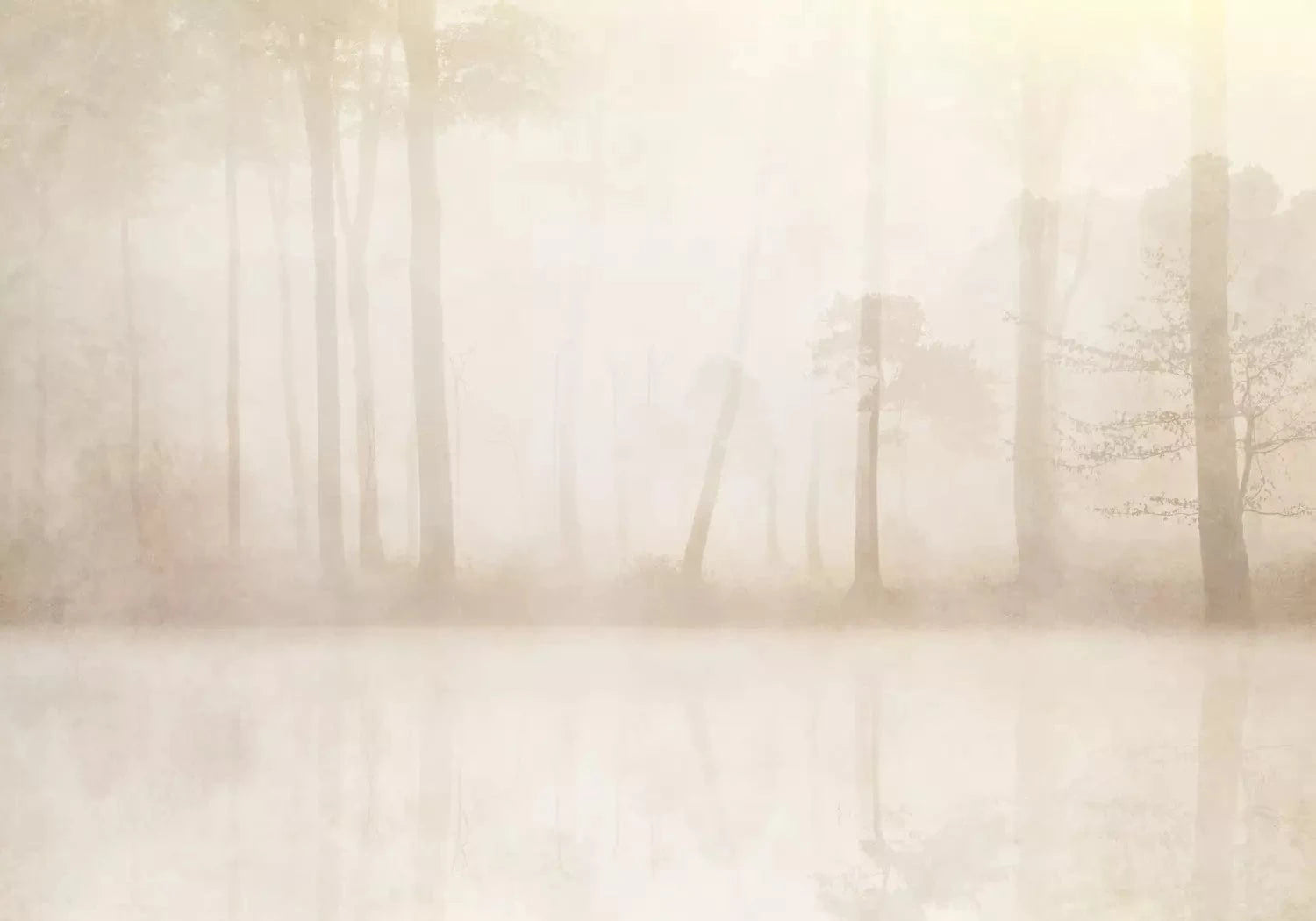 Fototapetes ar miglainu mežu krēmkrāsā - pasūtīt pēc saviem izmēriem G-ART