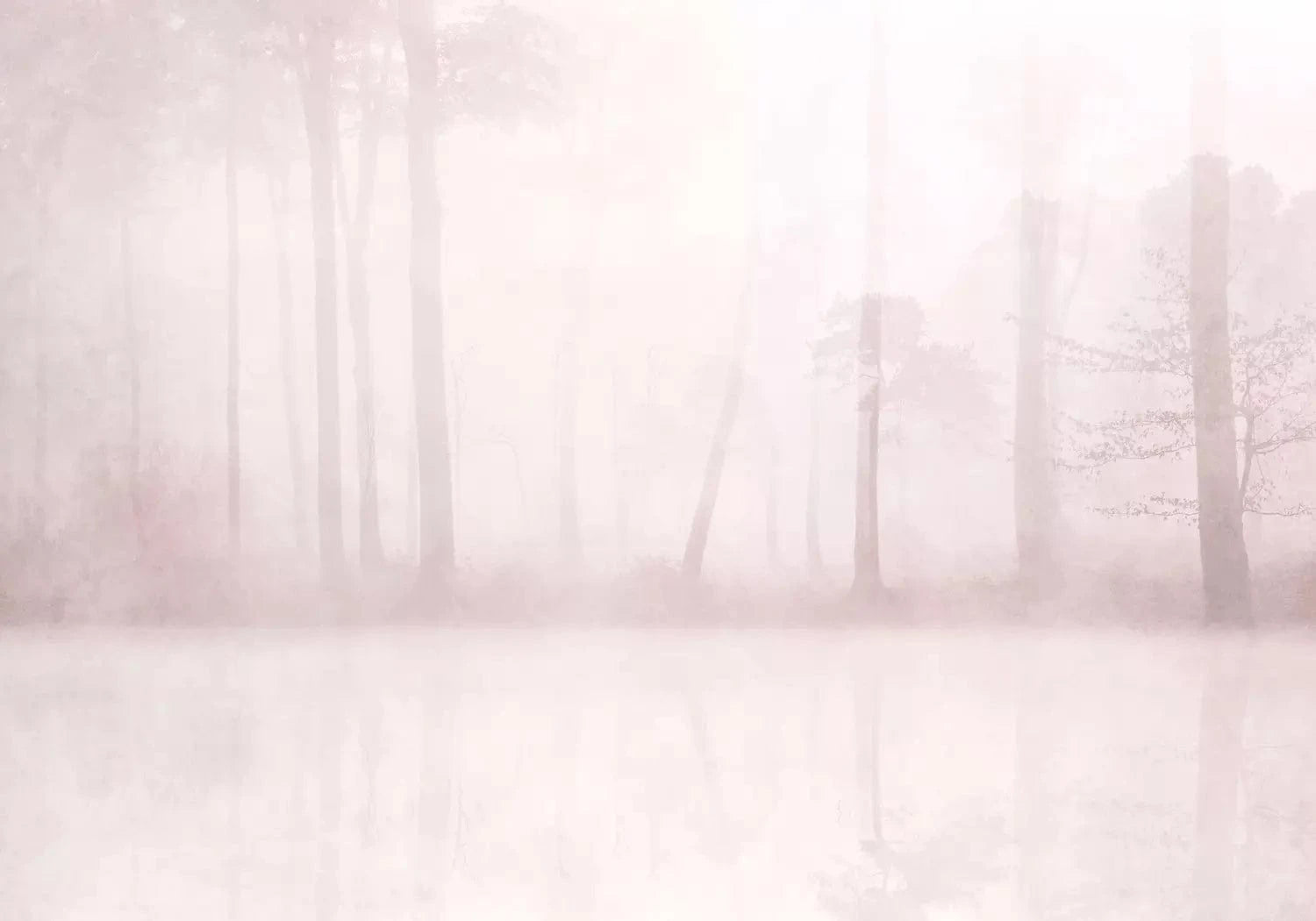 Fototapetes - Miglains mežs rozā toņos, meža ainava ar kokiem un ezeru G-ART