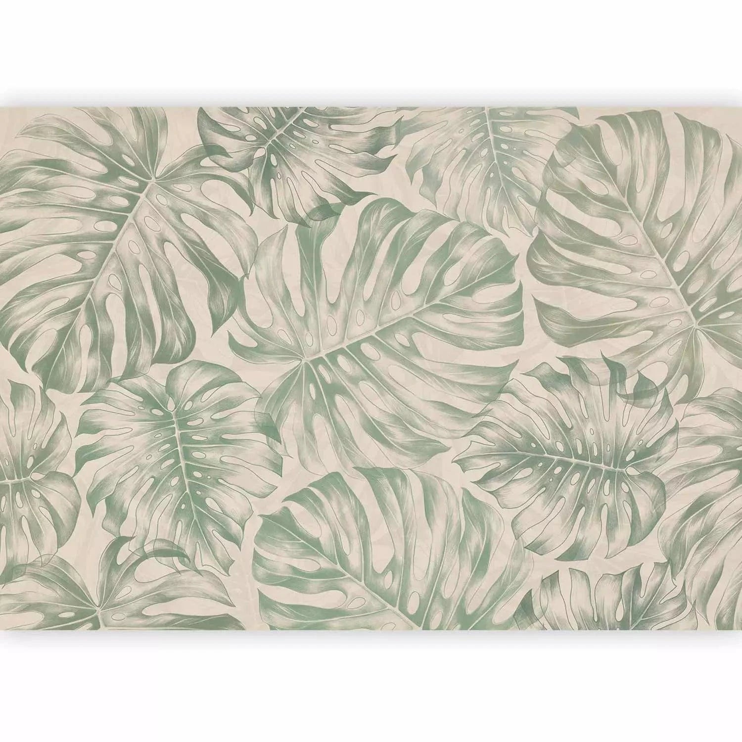 Fototapetes - Monstera lapas nomierinošos zaļos toņos -interjerā G-ART
