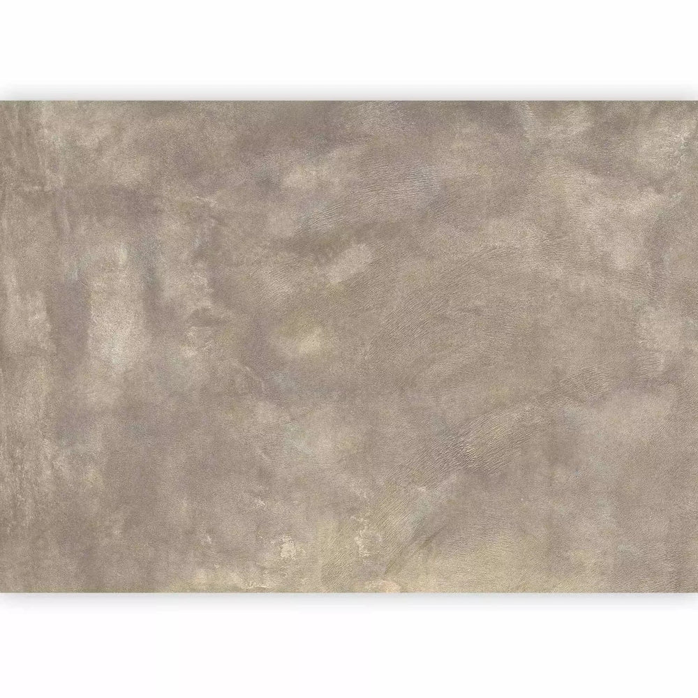 Fototapetes - neapstrādāta tekstūra nomierinošā krāsā: taupe G-ART